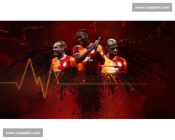 高清足球赛事直播APP下载指南畅享全球赛场精彩即时比分数据分析权威解说 - 副本 - 副本 (32) - 副本 - 副本