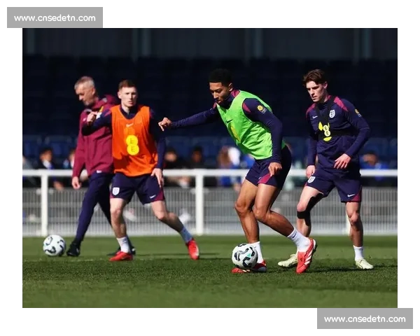 体育APP入口全新升级 快速畅享最新赛事资讯与精彩直播 体育APP入口全新升级 快速畅享最新赛事资讯与精彩直播